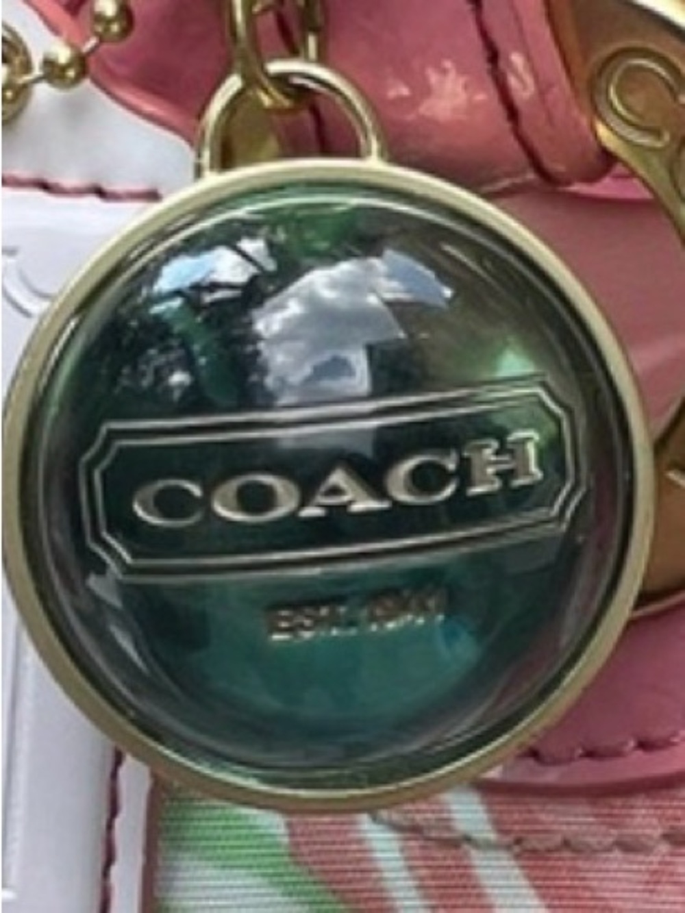 Coach - Picture 12 of 12